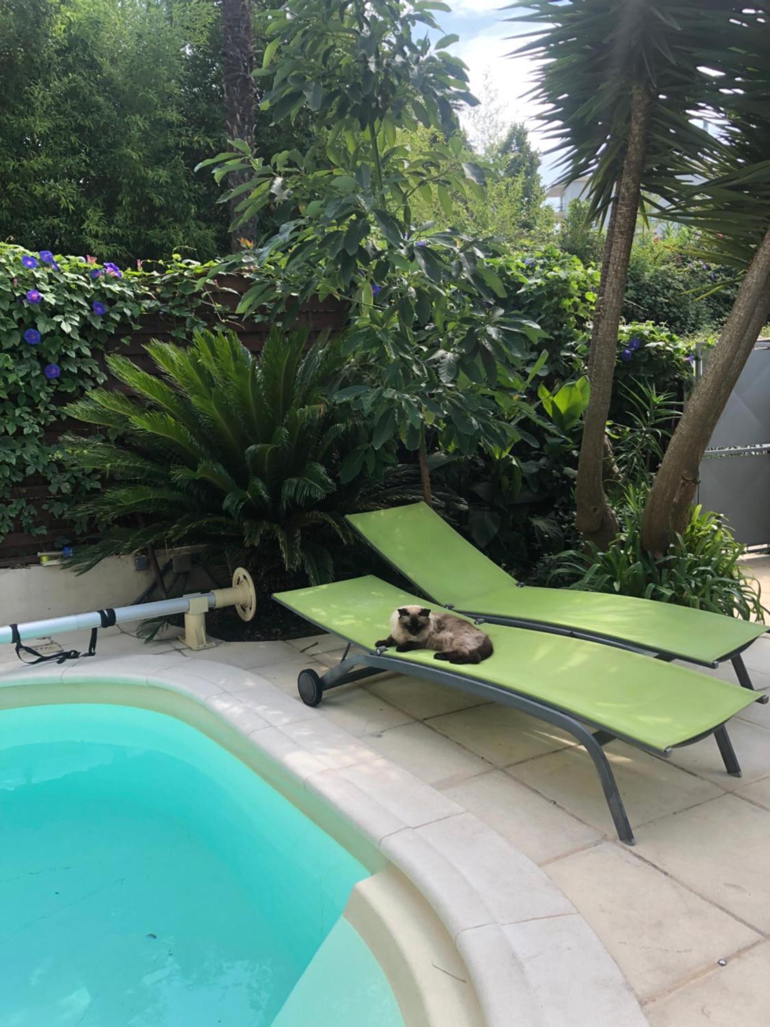 Villa Beausejour Cannes Exteriér fotografie